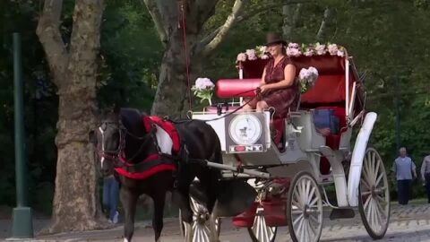 Mamdani promete apoyo a trabajadores de coches de caballos