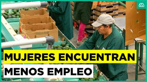 Más de 13 mil empleos formales femeninos perdidos en un año