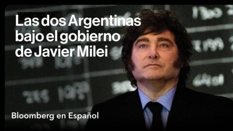 Milei: crecimiento económico con desigualdades internas