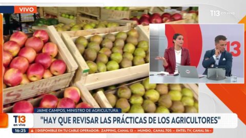 Ministro de Agricultura entrevistado por emergencia agrícola en El Maule