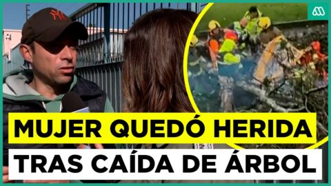 Mujer atrapada dos horas bajo árbol tras tornado en Santiago