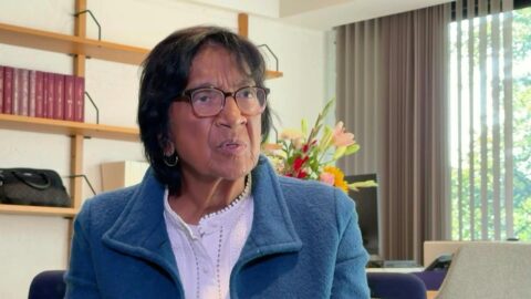 Navi Pillay cuestiona las sanciones de Trump contra la CPI