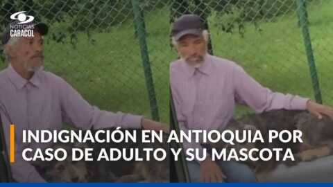 Negaron subir a un bus a adulto mayor con su perro en Antioquia