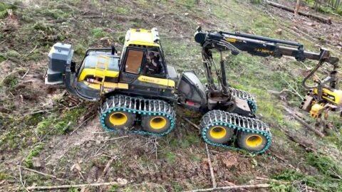 Newton Logging en Montana, cliente de la maquinaria Ponsse