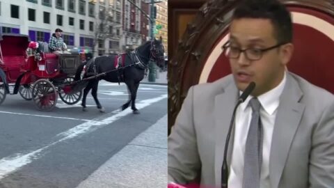 Nueva York aprueba prohibir los carruajes tirados por caballos