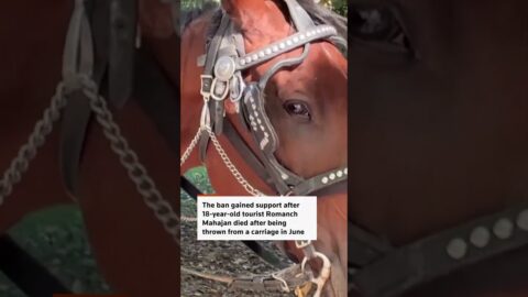 Nueva York avanza para prohibir los carruajes con caballos en Central Park