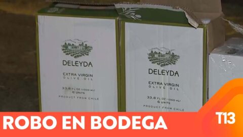 Nueve detenidos por robar en una bodega de Ñuñoa
