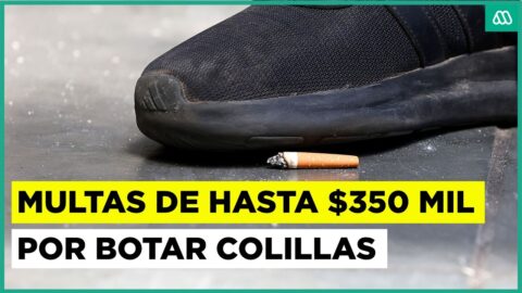 Ñuñoa fiscalizará con multas de hasta $350 mil a quienes boten colillas