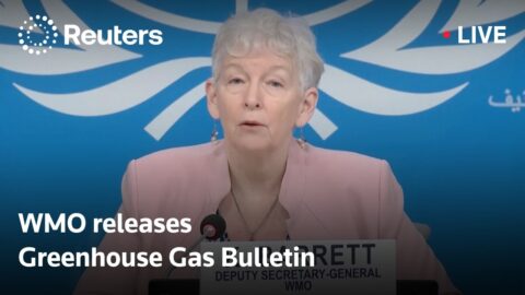OMM presenta su boletín anual sobre gases de efecto invernadero