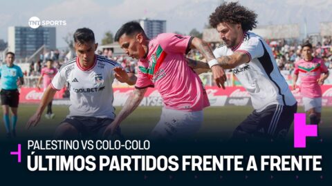 Palestino y Colo-Colo se medirán en el Santa Laura este domingo