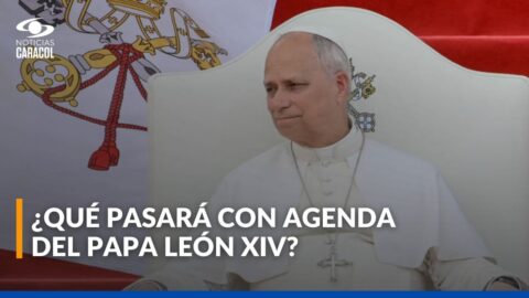 Papa León XIV: cirugía por cáncer de pulmón y agenda suspendida