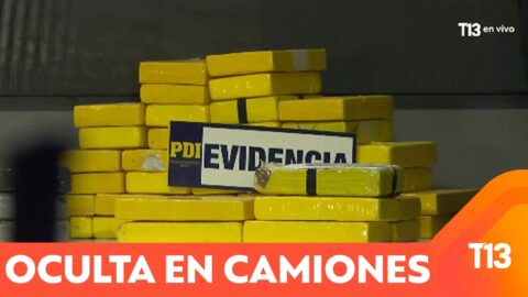 PDI incauta 739 kilos de droga importada