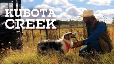 Perro de granja ayuda a resolver un problema en un puente de Kubota Creek