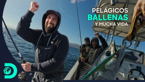 Pesca de pelágicos en Taltal con Salty Game y Discovery