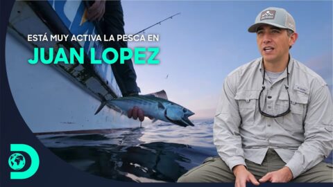 Pesca muy activa en el balneario Juan López, norte de Antofagasta