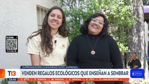 PotGarden: cómo una ingeniera agrónoma levantó su emprendimiento de jardinería