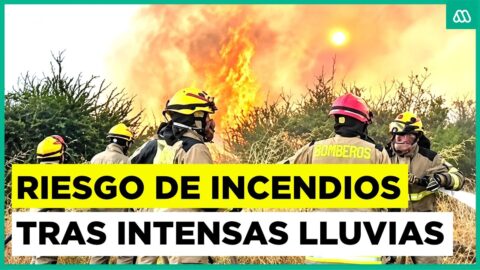 Primavera lluviosa podría elevar el riesgo de incendios este verano