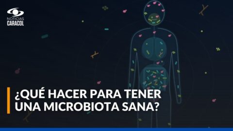 Qué es la microbiota y cómo detectar si está en equilibrio