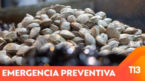 Quince regiones en alerta por marea roja