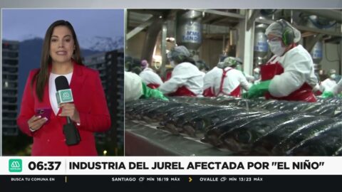 Regresa el jurel a supermercados chilenos tras meses de escasez
