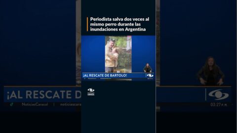 Rescatan a un perro arrastrado por la corriente en Argentina