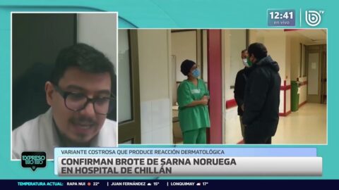 Sarna noruega: qué es, cómo se contagia y sus síntomas
