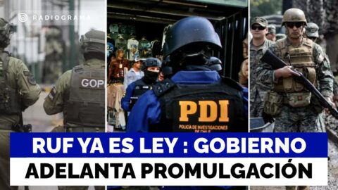 Se publica la ley que regula el uso de la fuerza en Chile