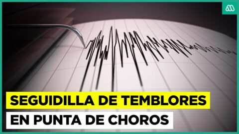 Seguidilla de temblores preocupa a caleta Punta de Choros
