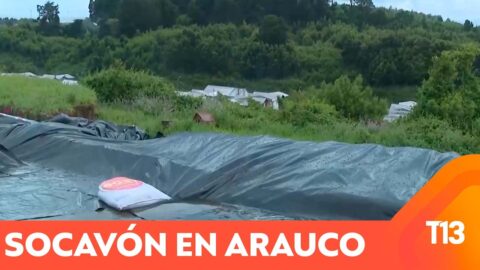 Socavón de medio kilómetro obliga a evacuar sectores de Arauco