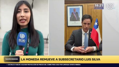 Subsecretario Luis Silva deja La Moneda tras polémica por rebaja de condenas
