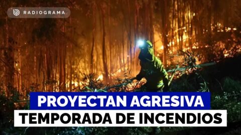Temporada de incendios forestales más agresiva por cambio climático