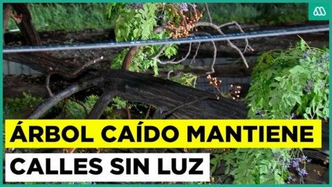 Tornado azota Estación Central y deja daños en la comuna