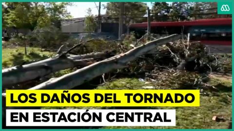 Tornado en Estación Central deja árboles caídos y una herida