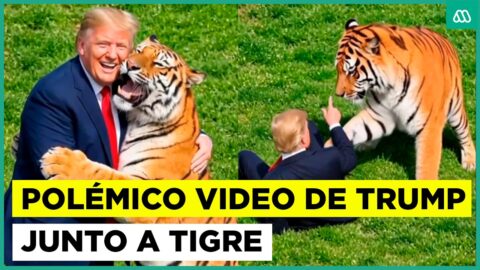 Trump comparte video con IA de un tigre y genera críticas