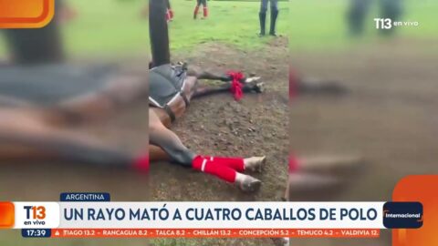 Un rayo mata a cuatro caballos de polo en Argentina
