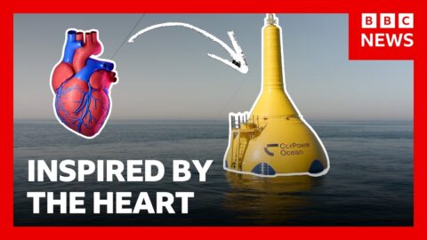 Un sistema de energía de olas inspirado en el corazón humano