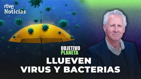 Virus y bacterias viajan por la atmósfera y caen sobre la Tierra
