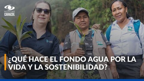 Vivero agroforestal en Colombia busca proteger ríos y cuencas