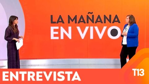 Vodanovic y penas polémicas: piden al gobierno un mea culpa